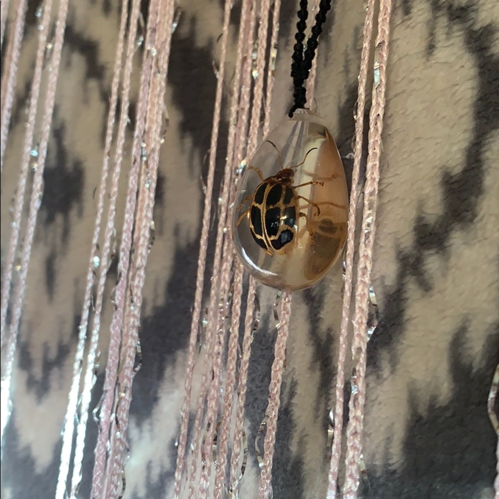 Spotted beetle necklace 🦋